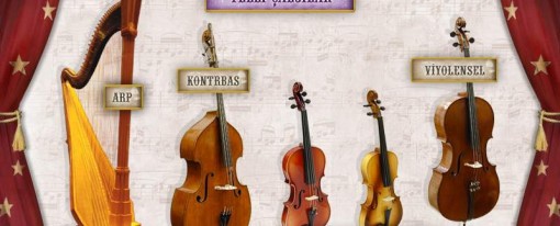 Müzik Eğitimi (İnteraktif CD)
