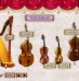 Müzik Eğitimi (İnteraktif CD)