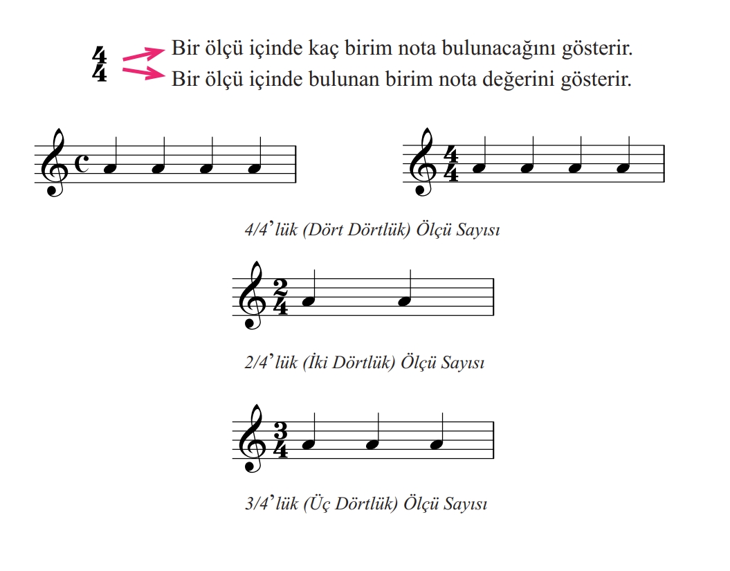 Ölçü Kavramı
