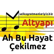 ah_bu_hayat_cekilmez