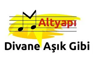 divane_assik_gibi