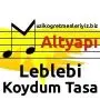 leblebi_koydum_tasa
