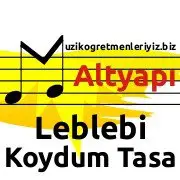 leblebi_koydum_tasa