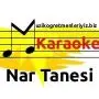 nar_tanesi_tanesi