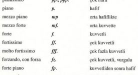 sekil22