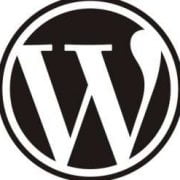 wordpress-logo-540×334