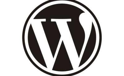 wordpress-logo-540×334