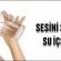 150411115059_Haber1