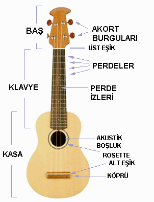 ukulele nasıl çalınır