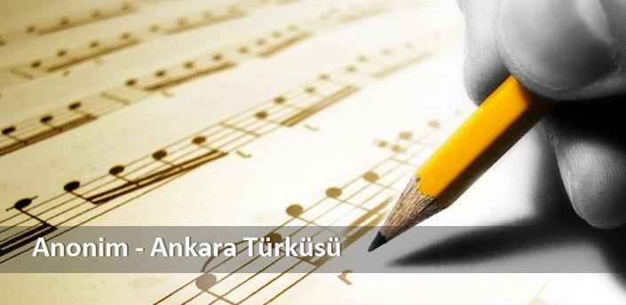 ankaraturkusu