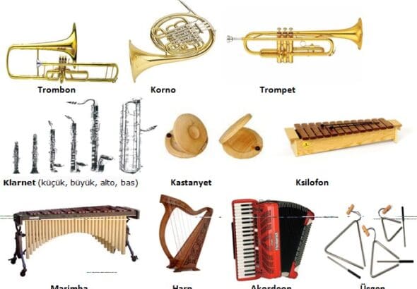 calgi-bilgisi-mini-sinav