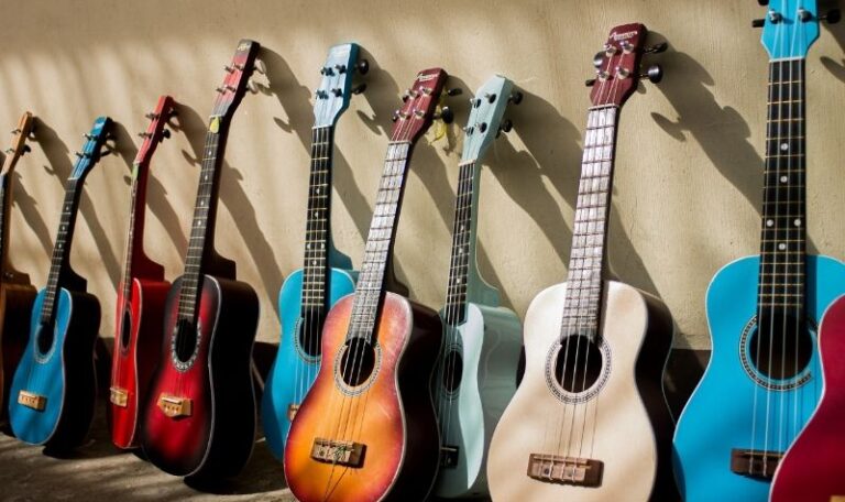 gitar-cesitleri (2)