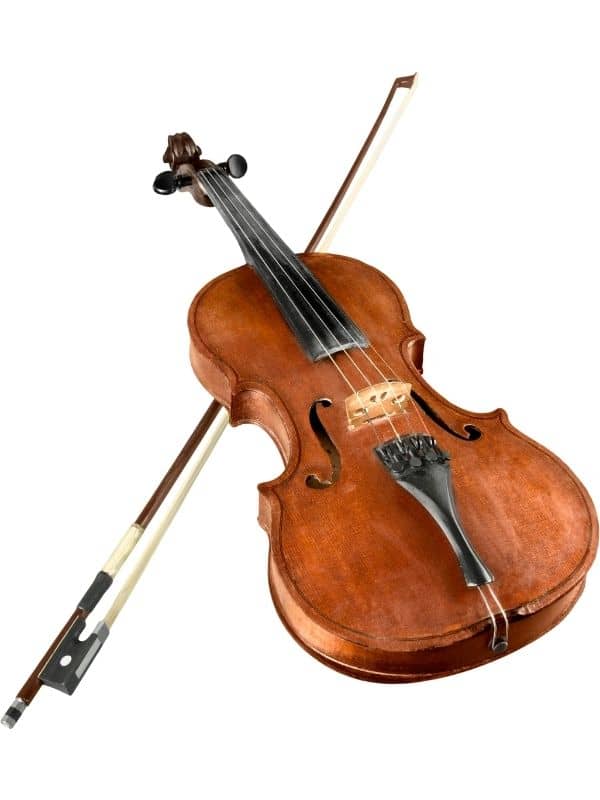 Viyola resmi